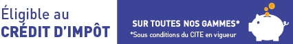 cite sybaie