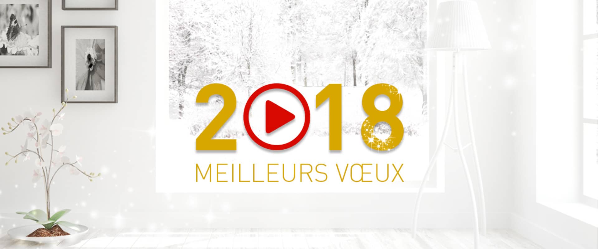 Voeux 2018